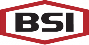 BSI Security Co., Ltd