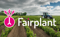 'Fairplant | Rootstocks and blueberry plants