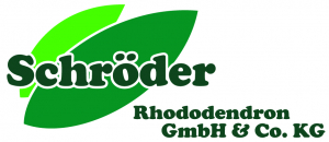 Schröder Rhododendron GmbH & Co. KG