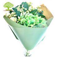 Biodegradable Eco-friendly Double BOPP/PLA kraft paper flower sleeve