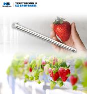 CoolGrow® Linear - LED Lichtleiste Vertical Farming