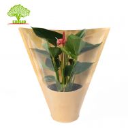 Eco-friendly Fresh Vegetable Bag Herb Bag 3 Pieces Bopp Kraft Paper Flower Sleeve