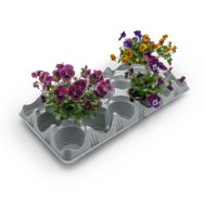 TRANSPORT & CULTIVATION TRAYS