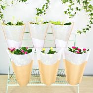 Water resistant Glassine Kraft Paper Sleeve for herbs,plants,flowers,food