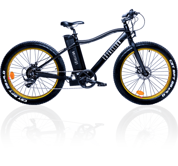 Aussteller CHEVROM GmbH eStallion Fahrrad Essen